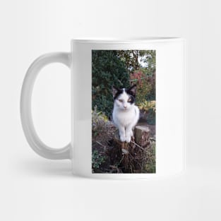 Timmi Mug